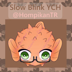 hompi blink
